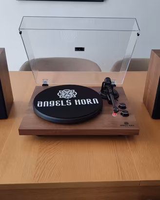 Giradischi Angels Horn + Diffusori