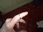 Immagine 1