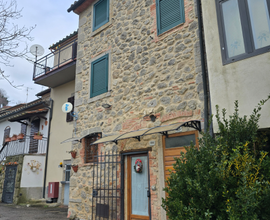 Vendita casa indipendente Monte Amiata