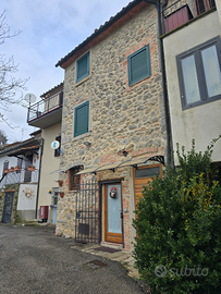 Vendita casa indipendente Monte Amiata