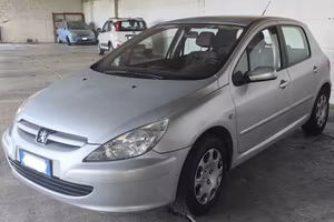 Peugeot 307 Eccellente