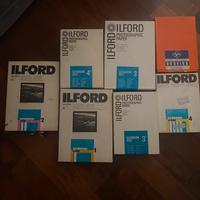 Carta ilford camera oscura
