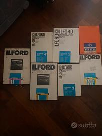 Carta ilford camera oscura