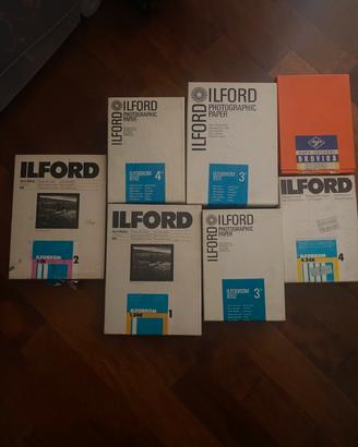 Carta ilford camera oscura