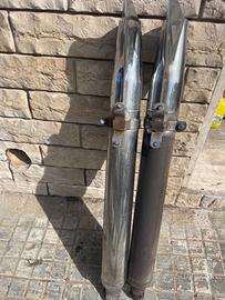 Vendscarichi per Harley Davidson Touring fish tail