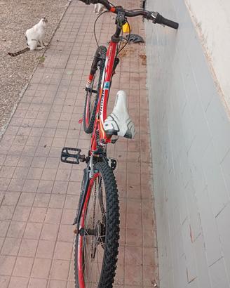 Bici 26"