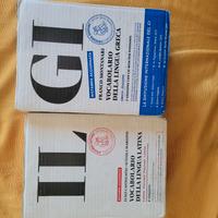 dizionario greco e dizionario latino