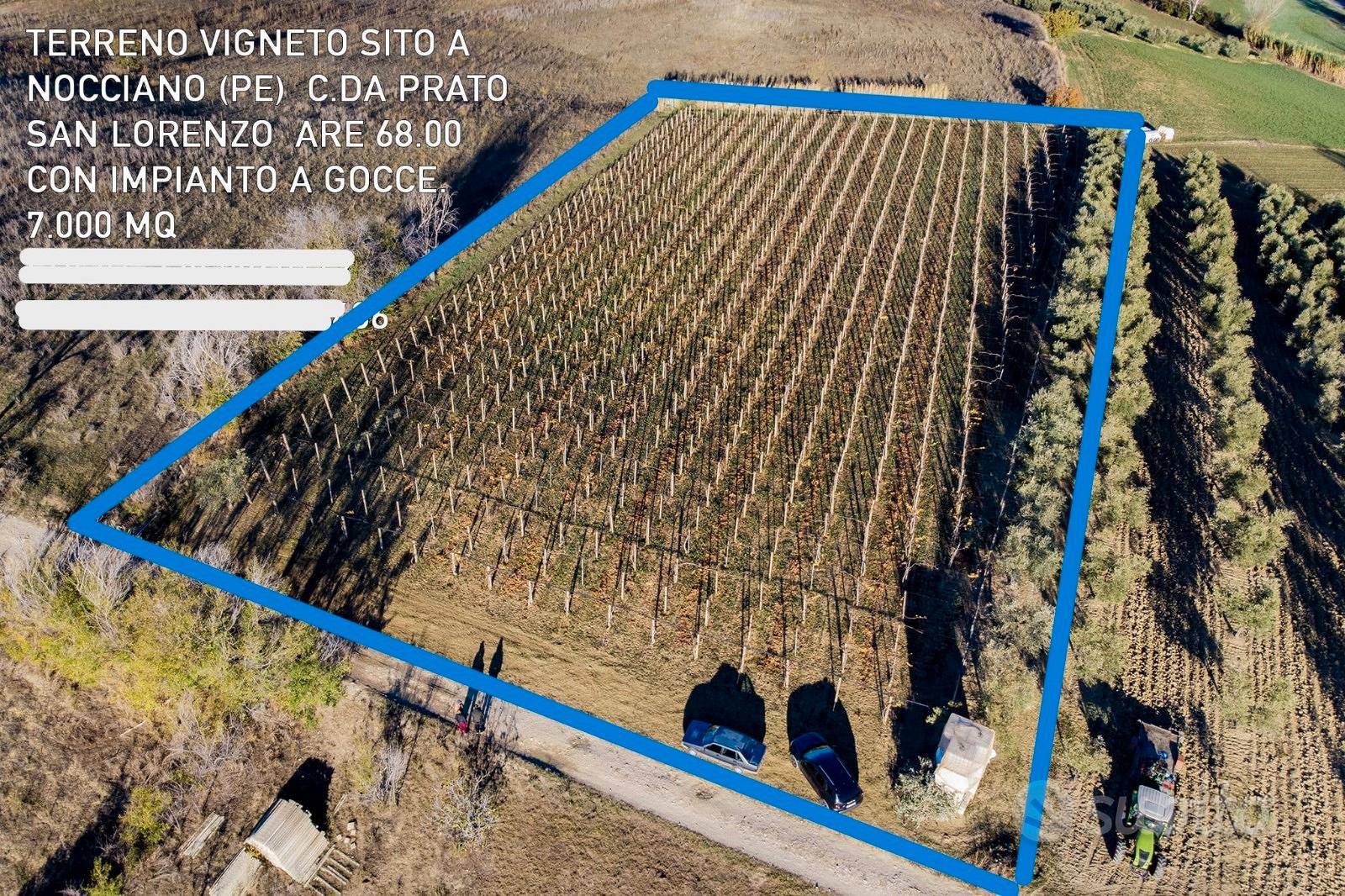 Terreno con vigneto - Vista 3