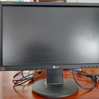 Monitor Pc LG 19 Pollici