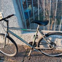 Mountain  bike