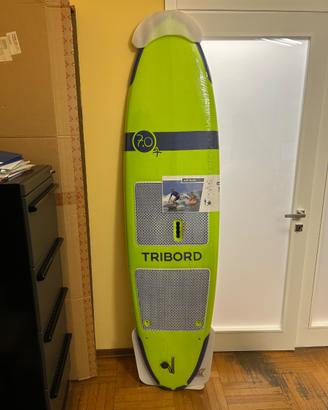 Tavola da surf Longboard