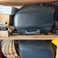 Borse laterali BMW R1150R