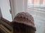 Immagine 2