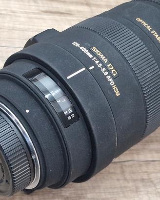 Nikon Sigma 120-400mm f/4.5-5.6 APO DG OS HSM