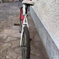 Bicicletta da MTB