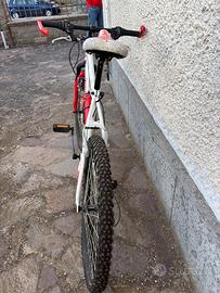 Bicicletta da MTB