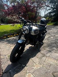 Ducati scrambler 800 icon