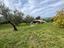 Immagine 10