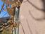 Immagine 28