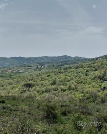 Quattro appezzamenti di terreno a Castelvetere