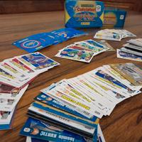 Box Serie Oro Edizione Limitata Panini