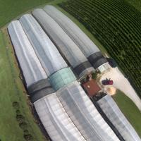 Vendita serra a Bibano .tv