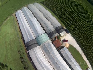 Vendita serra a Bibano .tv