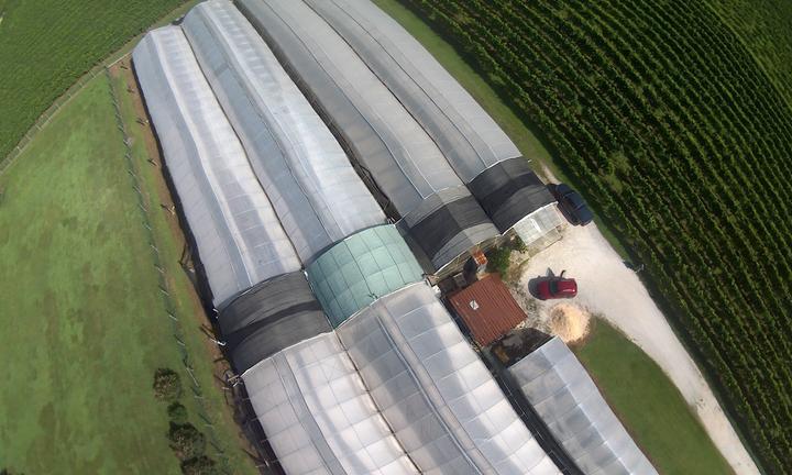 Vendita serra a Bibano .tv