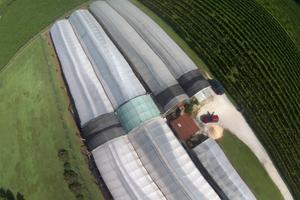 Vendita serra a Bibano .tv