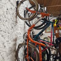 Graziella Amica Carnielli