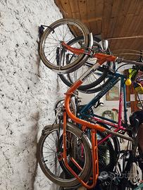 Graziella Amica Carnielli