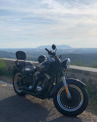 Harley-Davidson Fat Boy special fls tfb 103 Low