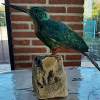 Colibrì n1, in scultura di argilla