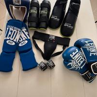 protezioni da boxe Leone e Sphinx