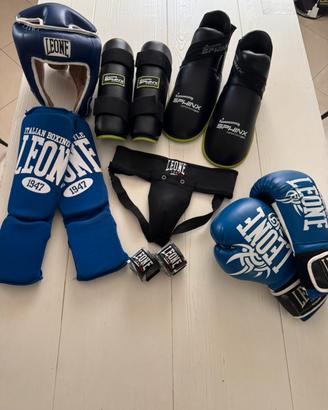 protezioni da boxe Leone e Sphinx