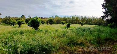 Terreno agricolo recintato-pozzo-corrente