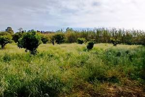 Terreno agricolo recintato-pozzo-corrente