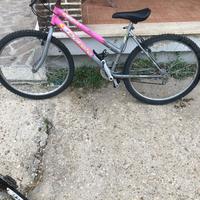 Numero 2 biciclette