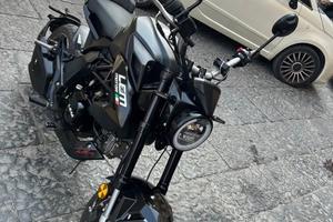 Lem brutus 110