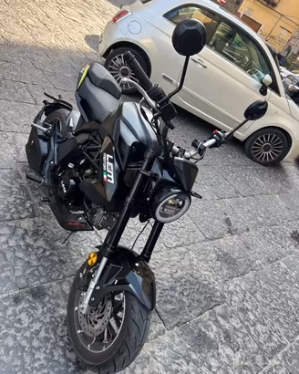 Lem brutus 110
