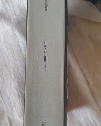una vita come tante di Hanya  yanagihara 15 euro
