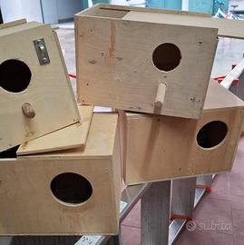 nidi per pappagallini 