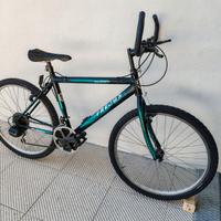 Bicicletta Uomo Mountain bike Shimano 4 corone 26