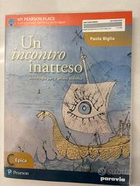 Un incontro inatteso 9788839529053
