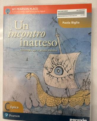 Un incontro inatteso 9788839529053