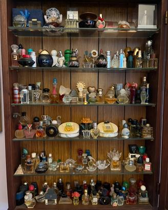 Collezione