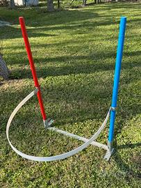 Set guide slalom agility