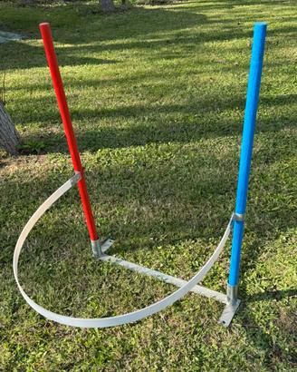 Set guide slalom agility