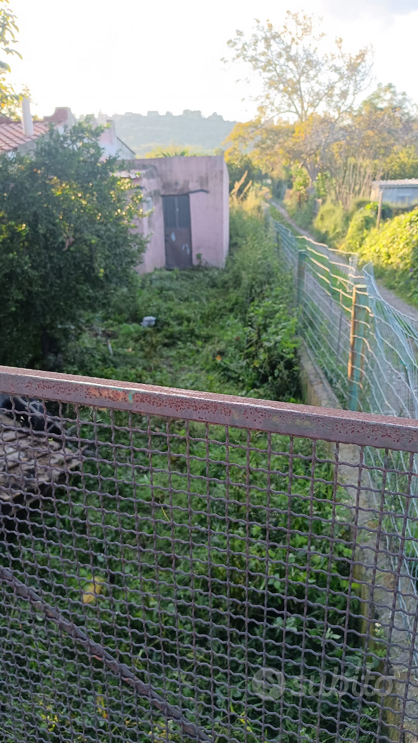 Terreno con deposito/casetta catastato - Vista 4