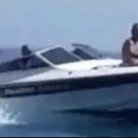 Surfer 630 cicala e bertinetti barca veloce